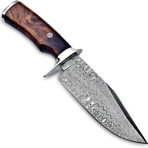 SOG Small Fixed Blade Knife - Instinct Boot Knife, EDC Knife, Neck Knife, 2.3 Inch Full Tang Blade w/ Knife Sheath and Clip, 4in. x 1in. x 8.5in. (NB1012-CP) , Black